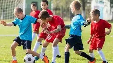 巅峰国际 资讯 094229 hl1